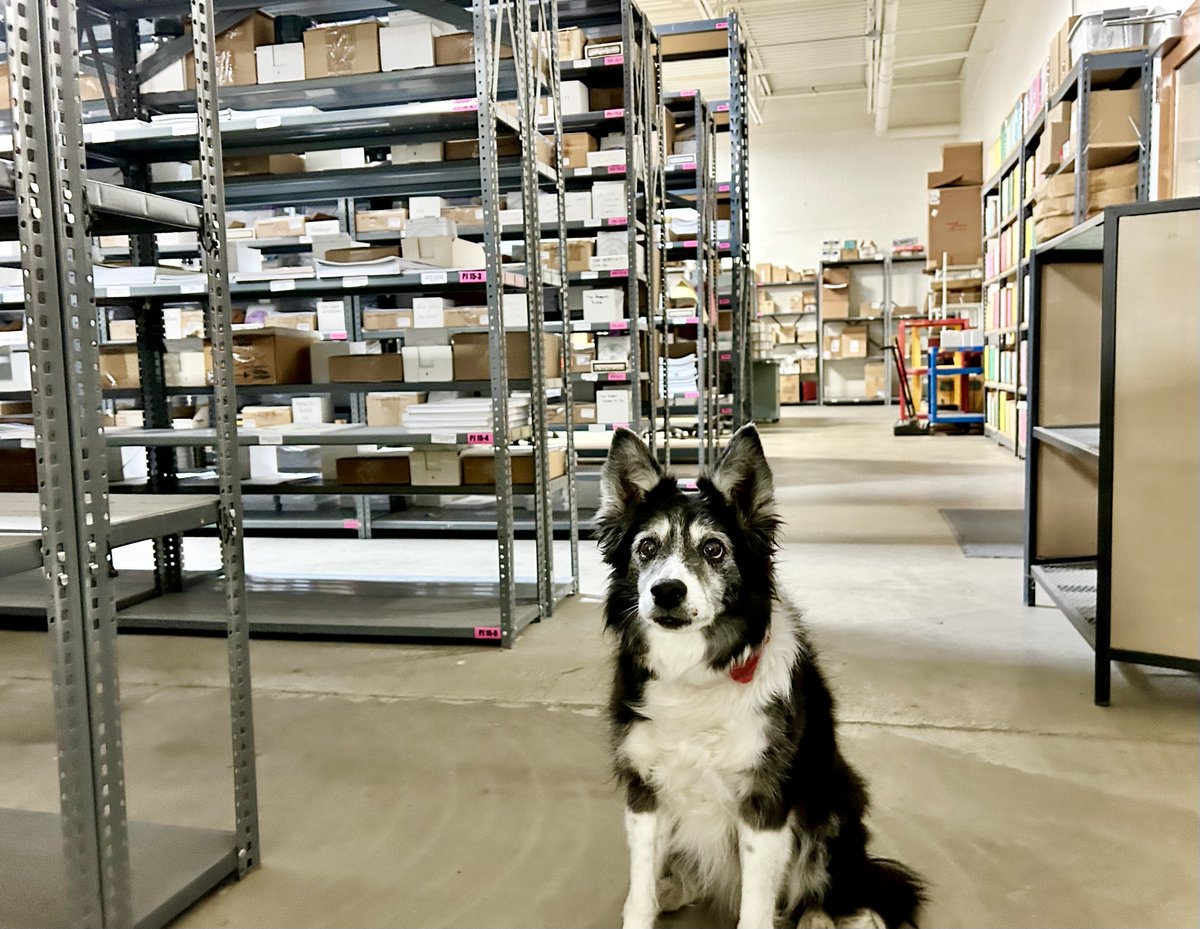 Krea reminds you that there's FREE SHIPPING on MusicK8.com orders over $25 for all these goodies back in the warehouse. Just enter the code SMALLBIZ at checkout. Hurry, offer ends May 31. #smallfurryplankers🐶