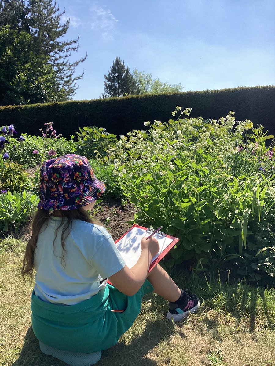 Brinsworth Howarth Primary School tweet media