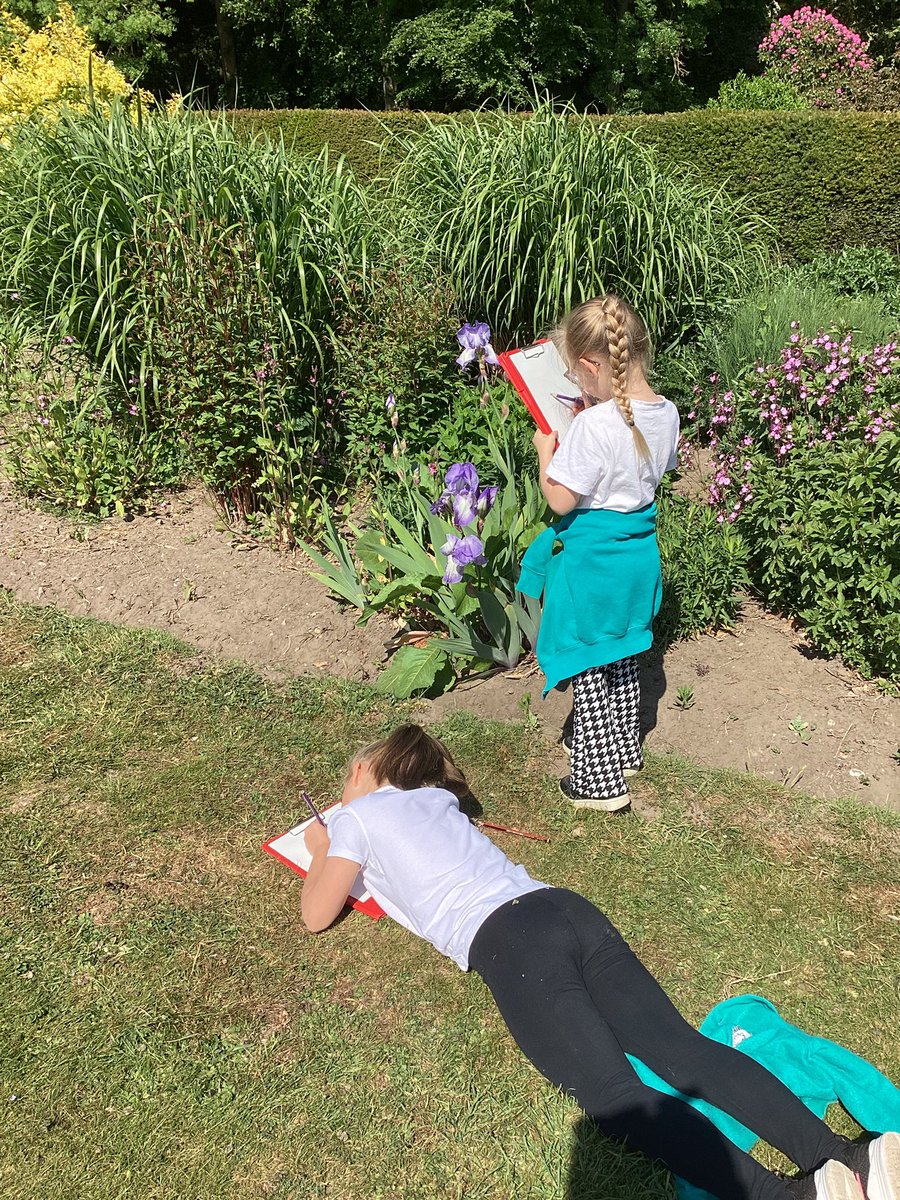 Brinsworth Howarth Primary School tweet media