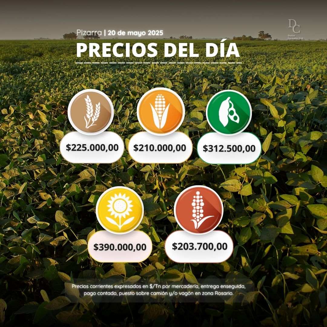 📊 𝗣𝗿𝗲𝗰𝗶𝗼𝘀 𝗱𝗲 𝗣𝗶𝘇𝗮𝗿𝗿𝗮 | #𝗥𝗼𝘀𝗮𝗿𝗶𝗼 20/05 :📊

🔸¡Mantente al tanto de las últimas cifras del mercado agropecuario con nosotros!

✅Agenda este nro. +𝟱𝟰 𝟵 𝟯𝟰𝟮𝟰 𝟮𝟮-𝟲𝟭𝟴𝟴 y hace tu consulta de manera rápida y fácil 😄👌

#DuttoCereales #Agro
