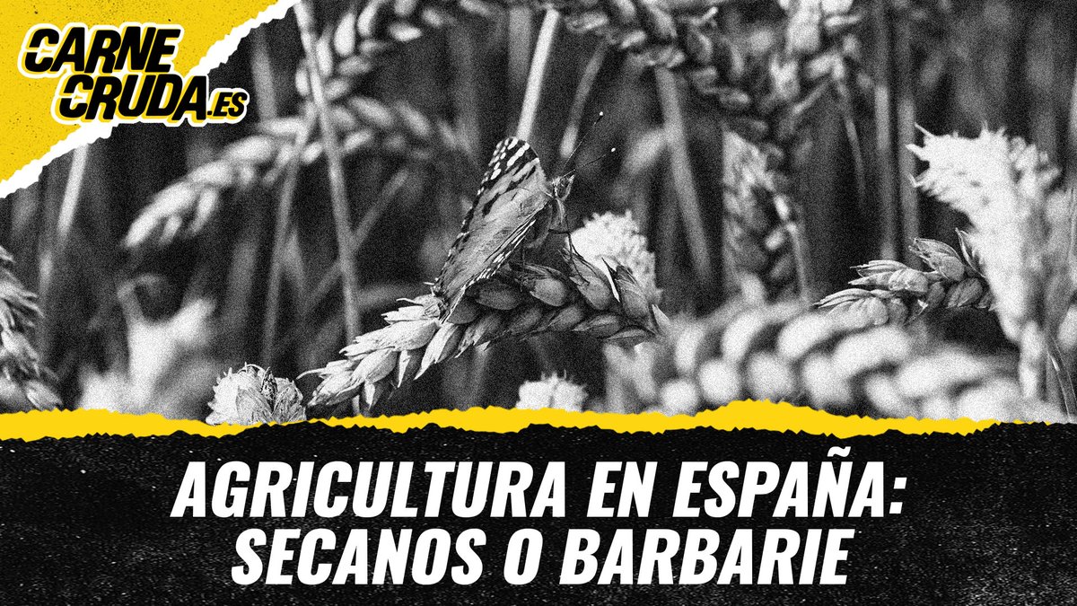 "Llevamos un modelo de vida muy alejado de la naturaleza y eso es muy prepotente"

Recuperar el equilibrio con la naturaleza no es solo una cuestión ecológica: es también una forma de proteger lo que queda del mundo rural y de defender una alimentación más sana y más justa.