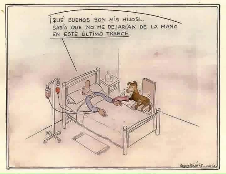 maitebrito53's tweet photo. ❤️ https://t.co/JCzxUhdGJk