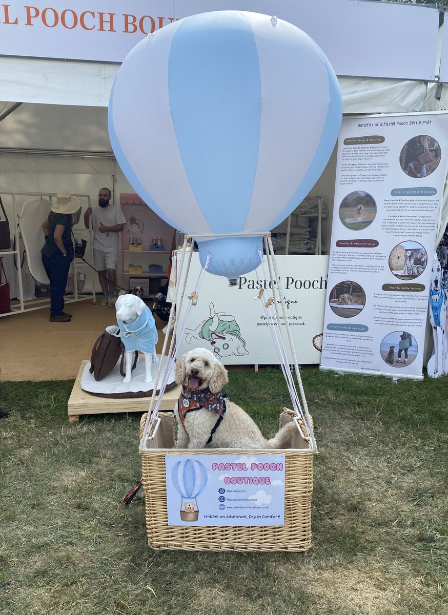 LeelooCockapoo's tweet photo. I had a fantastic time at #GoodWoof this weekend, can’t wait until next year! https://t.co/glmmXNPUum