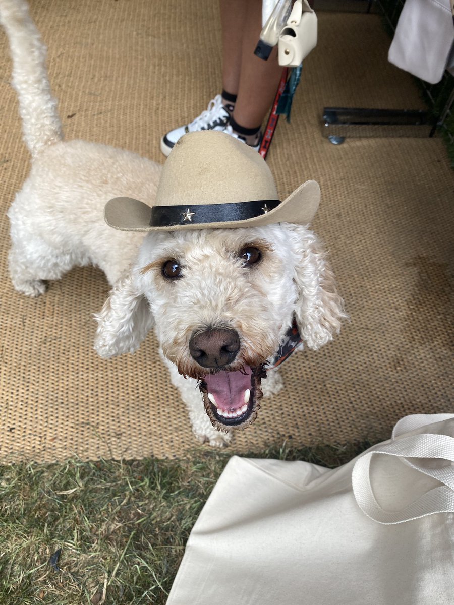 LeelooCockapoo's tweet photo. I had a fantastic time at #GoodWoof this weekend, can’t wait until next year! https://t.co/glmmXNPUum