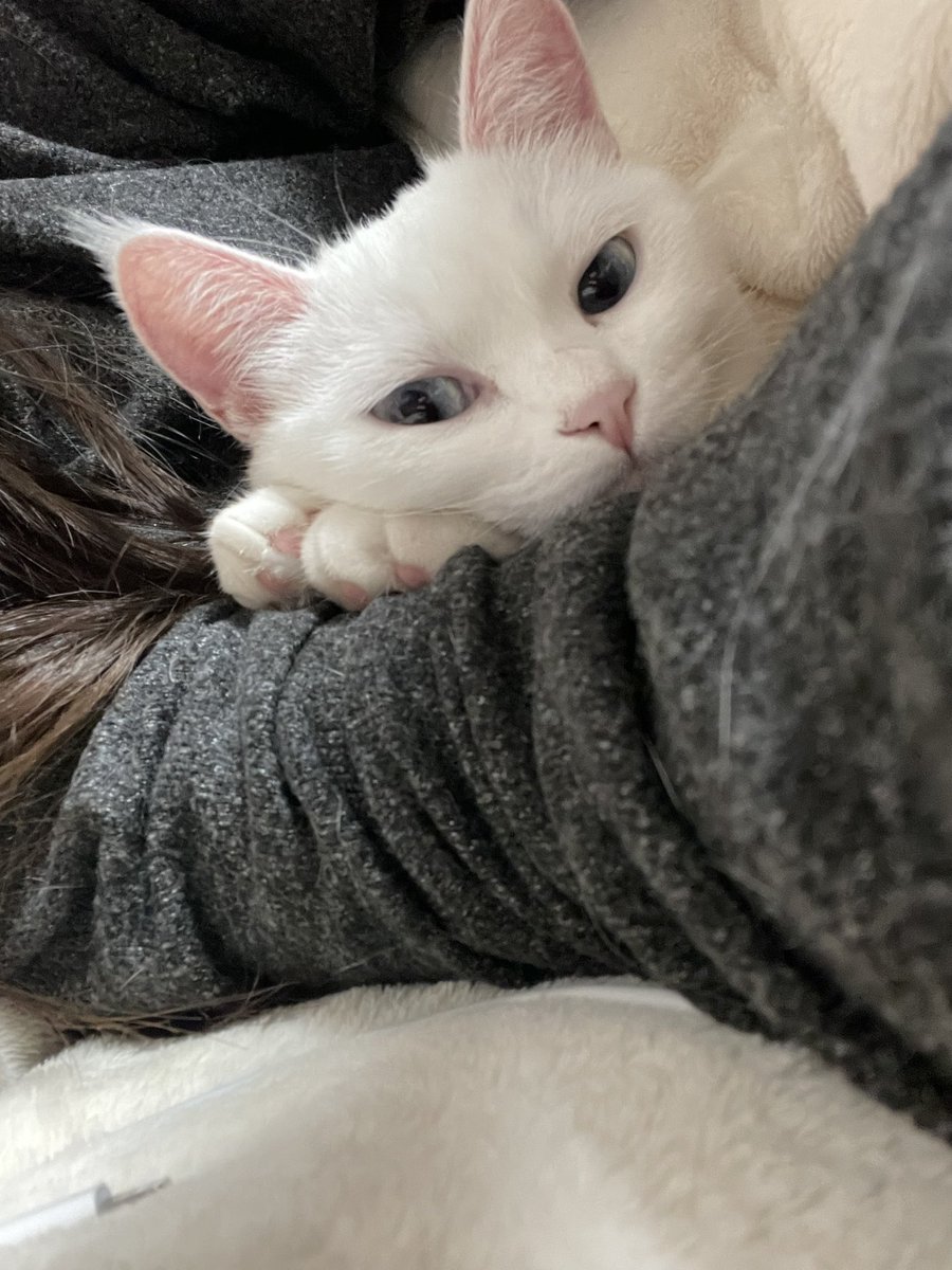 加班加到逐渐疯魔 加班到无时间约实践
究竟什么时候可以约上实践啊啊啊！！！
暴风哭泣😭
黑色加班周赶紧过去吧🥹

#小圈 #实践 #sp #spanking