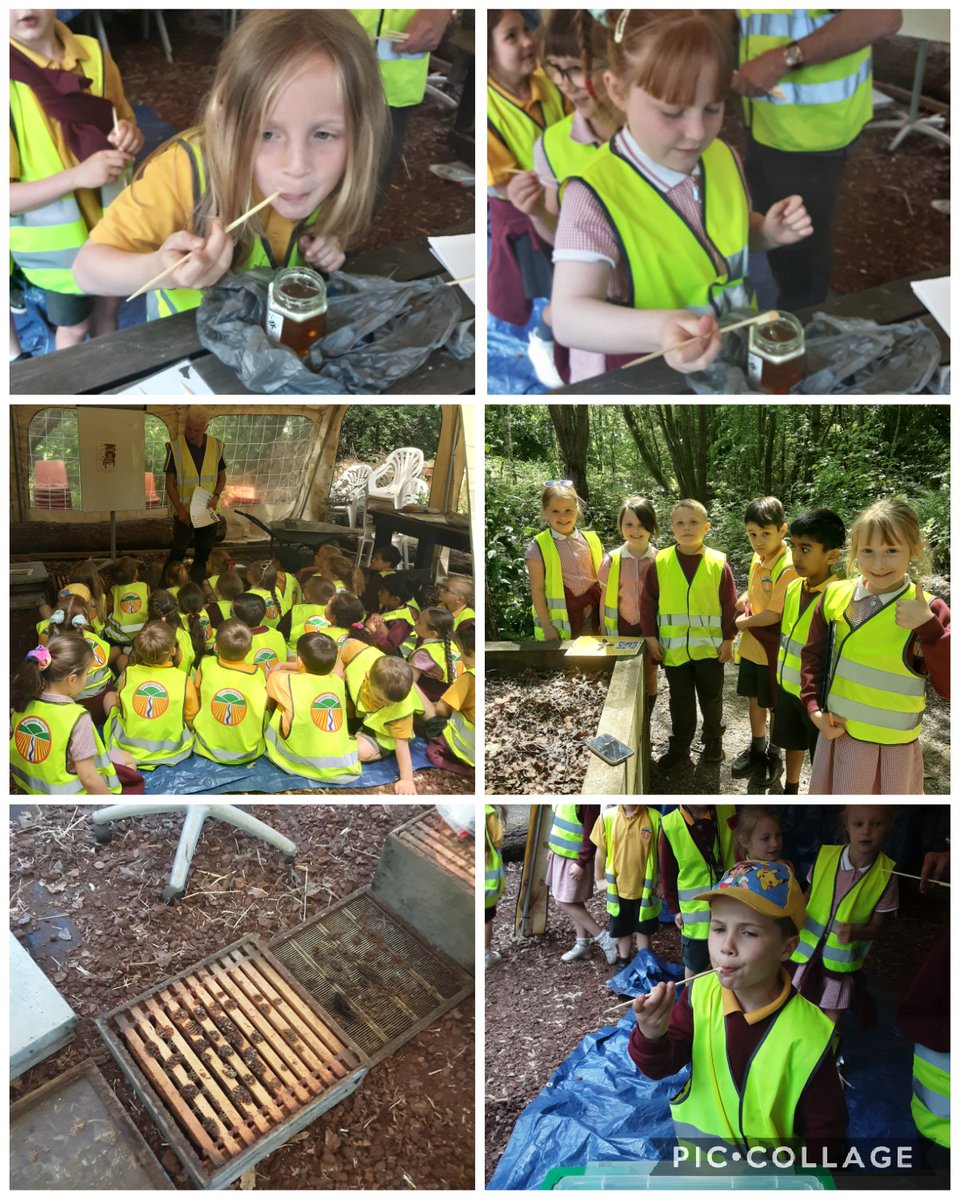 Class 6 loved their afternoon at Cromwell Bottom, tasting honey and learning some new things about Bees and how they make honey. 

Class 5 look forward to their trip on Thursday
