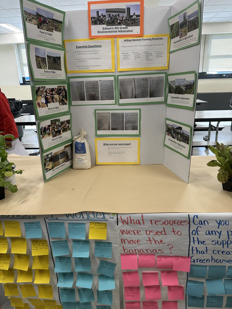 DrcarrollPC's tweet image. Edison School fourth grade students sharing their research on how food is grown, consumed, and the waste it produces in a science symposium this morning! Excellent work, and very informative! Great job teachers! 👏🏻👏🏻👏🏻