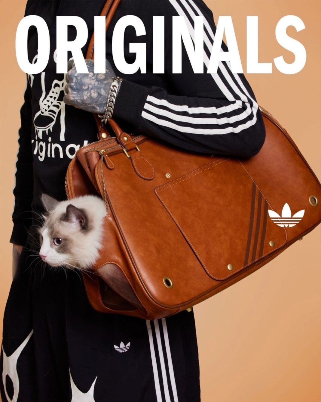 Sucede News on X: "Adidas lanza línea de streetwear para mascotas.  https://t.co/D6gzghSVkv" / X