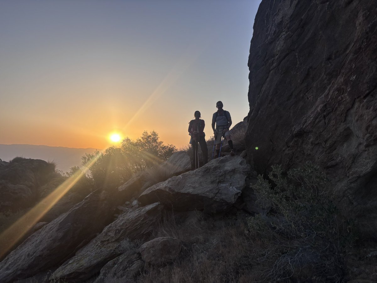 Dominique Samario tweet media