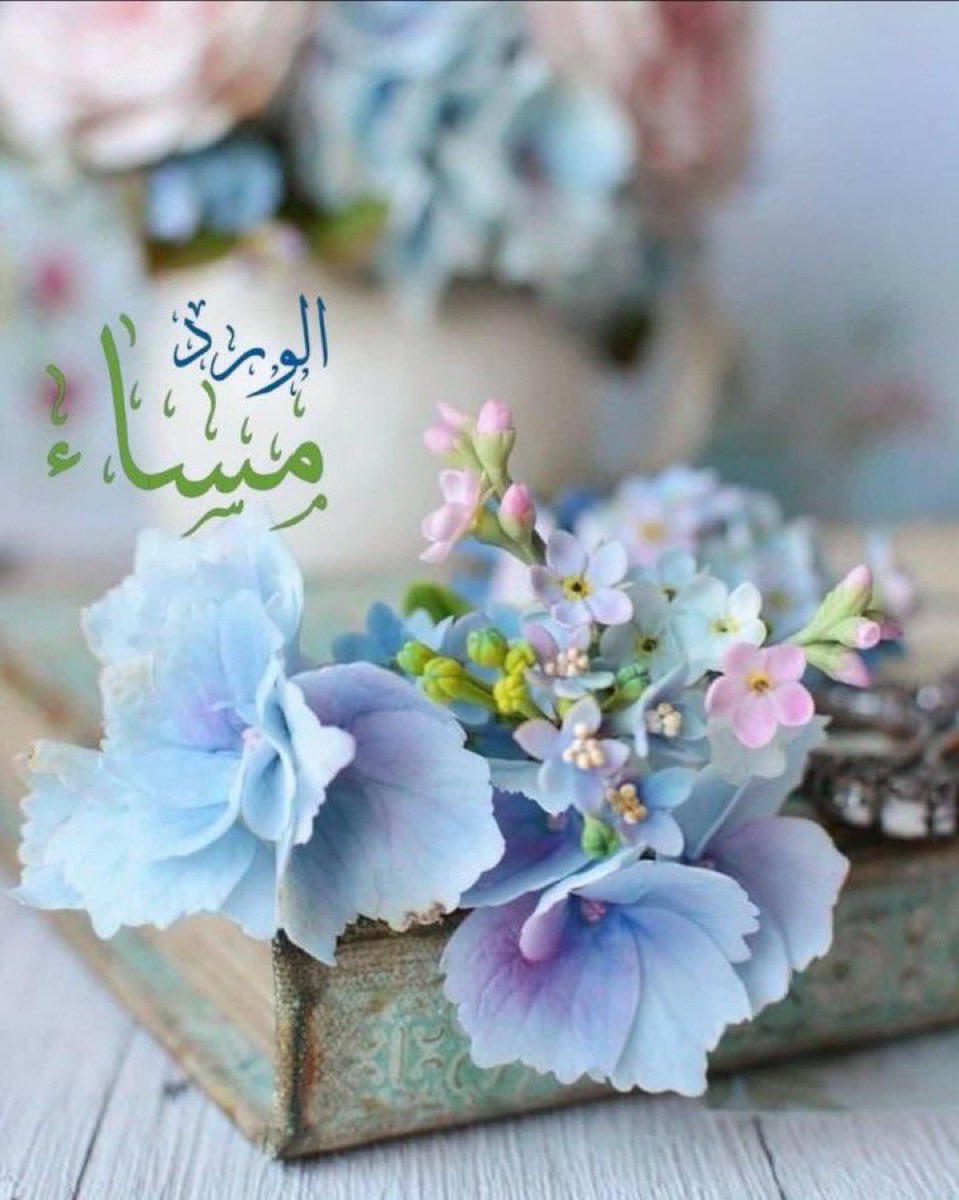 <a href="/MoGr2s/">بوح بنت القصيم</a>