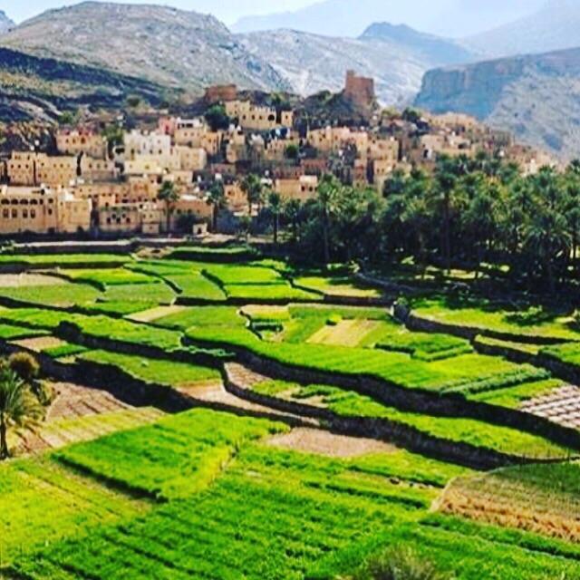 badar4864's tweet photo. #صورة_ملف_شخصي_جديدة https://t.co/jqd2dccto5