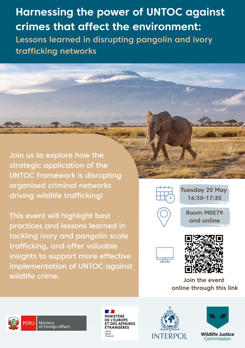 ENVIRONMENTAL CRIME (@interpol_ec) on Twitter photo Join us in few minutes in this #Ccpcj side event together with <a href="/WJCommission/">Wildlife Justice Commission</a> sharing lessons learnt in disrupting pangolin and ivory trafficking criminal networks Join us in few minutes in this #Ccpcj side event together with <a href="/WJCommission/">Wildlife Justice Commission</a> sharing lessons learnt in disrupting pangolin and ivory trafficking criminal networks