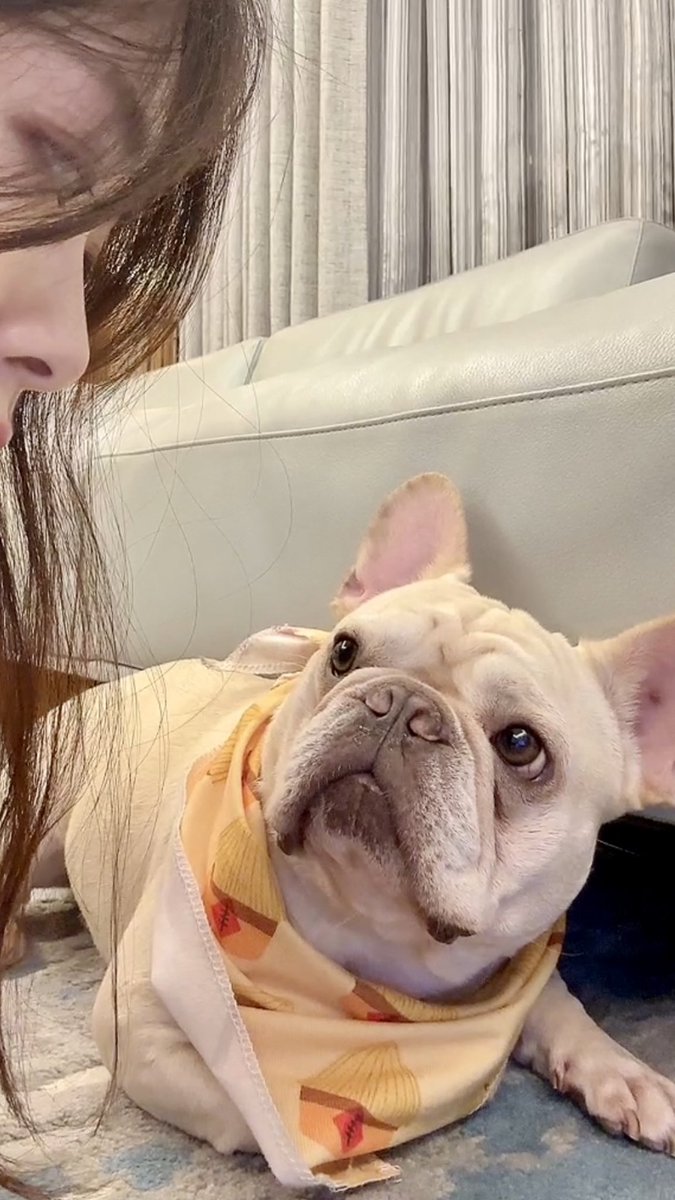 ninileeool's tweet photo. 很多人問我今天有沒有去慶祝🤔😢
下圖是我的回應🤣 https://t.co/g0t12uX4HF
