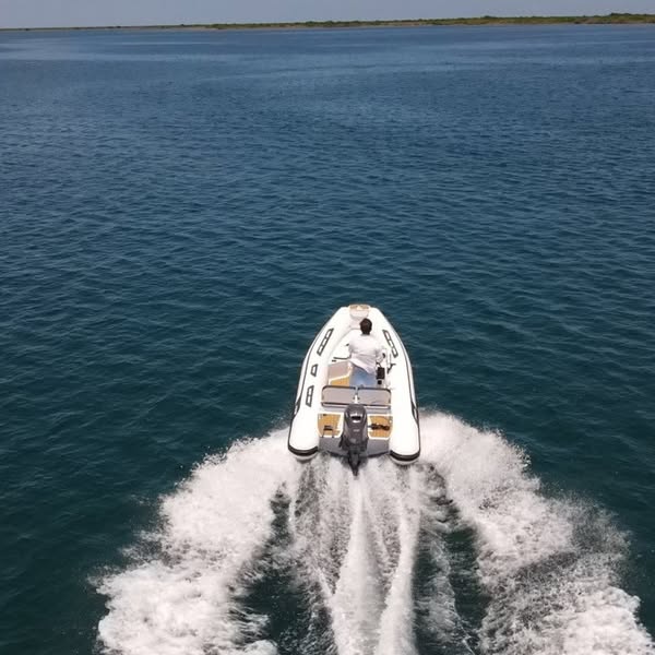 AbInflatables's tweet image. The Alumina ALX sport series is designed with high quality aluminum hulls, lightweight without sacrificing strength or durability. With ample storage and a spacious deck, the Alumina sport console RIB could be your next companion for all aquatic adventures.
#abinflatables #rhib