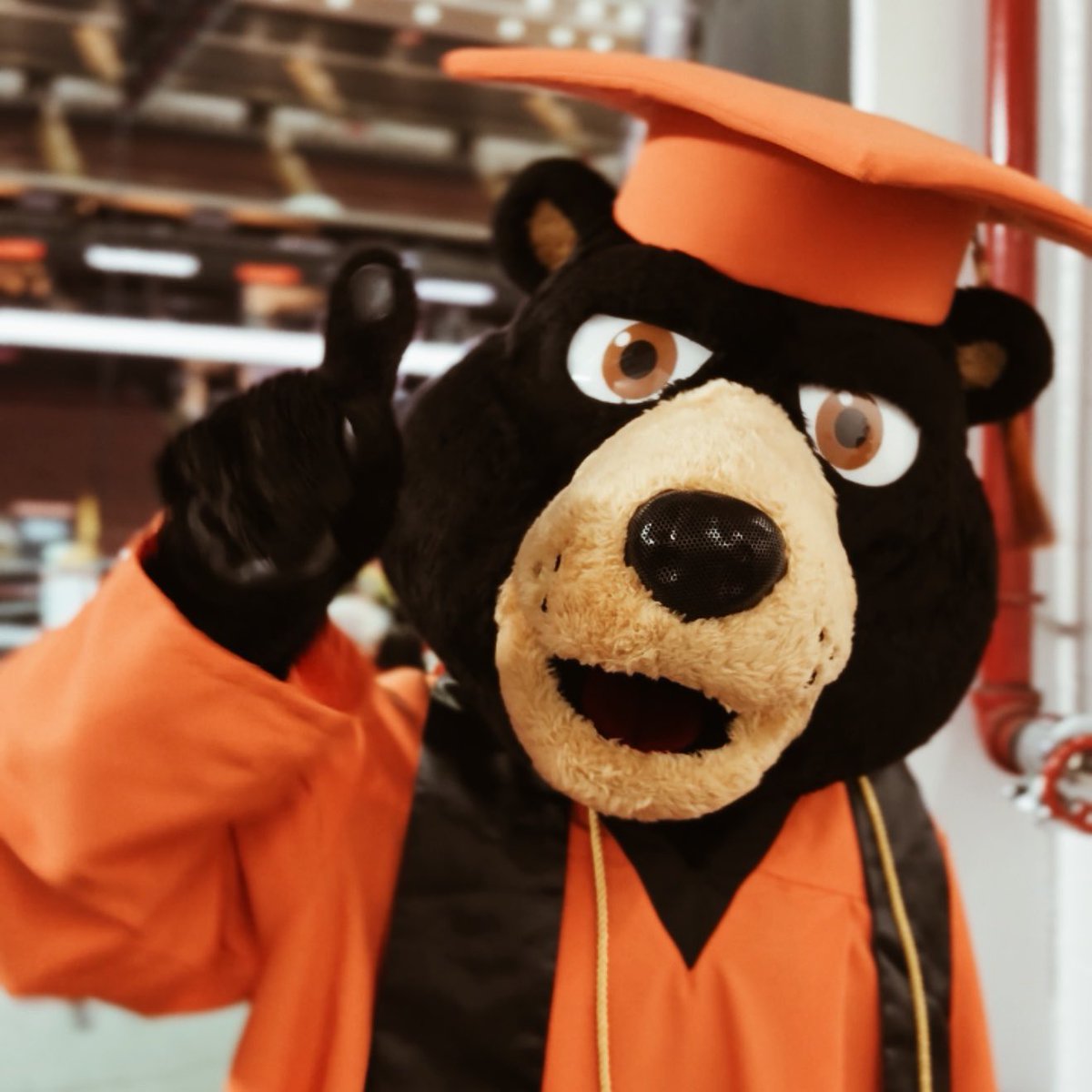 Watch #WPUNJ2025 live here 🎓👉 bit.ly/WPUNJ2025Live