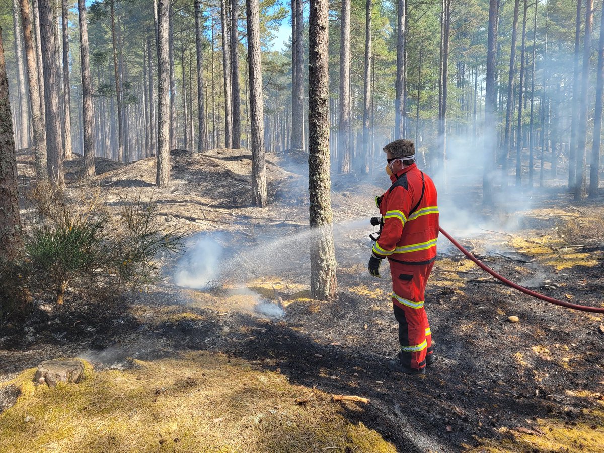 Balintore Fire Station tweet media