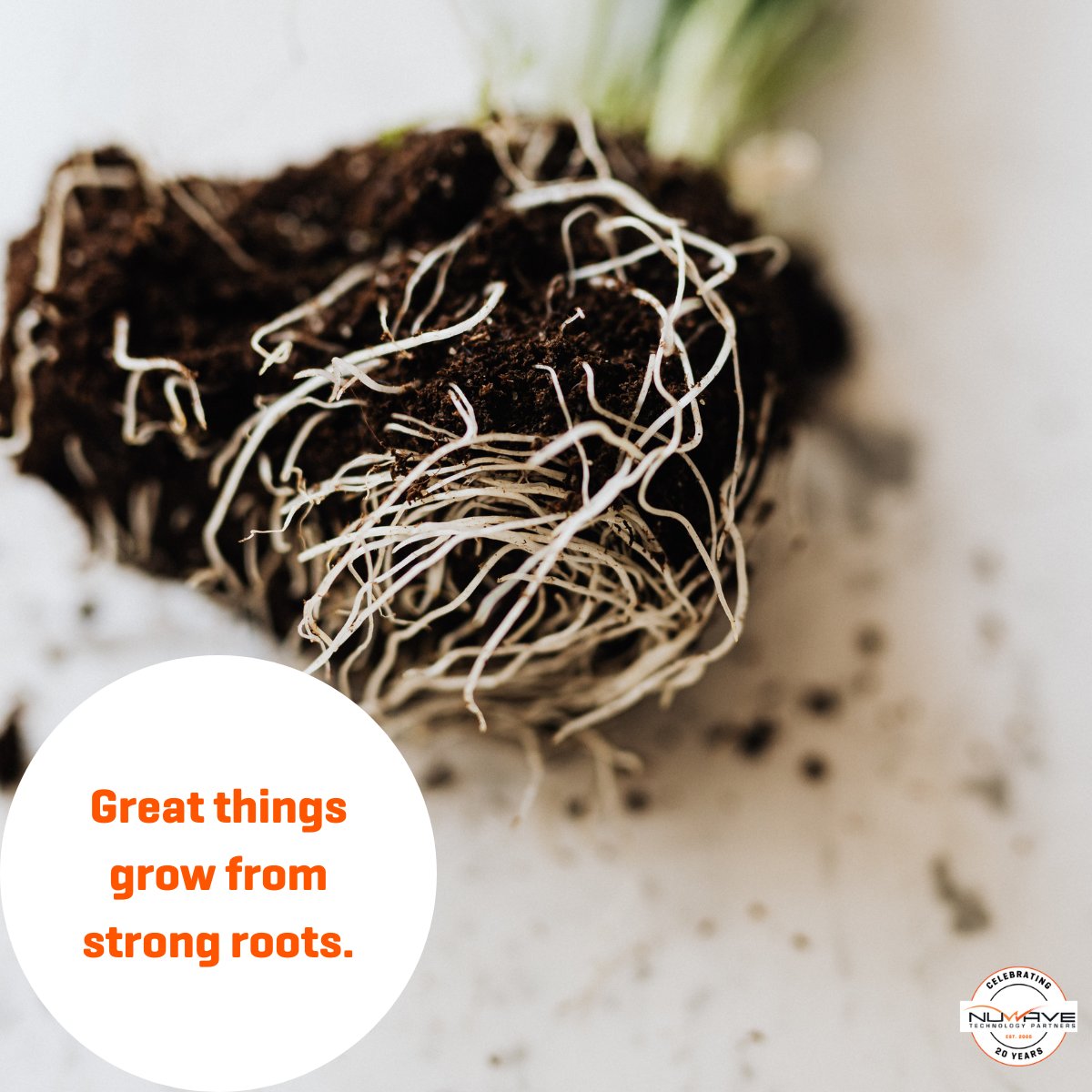 NuWavePartners's tweet photo. Great things grow from strong roots. To our amazing partners—thank you for growing with us.

Here’s to more shared success in the seasons ahead!
#NuWave20 #SpringIntoInnovation https://t.co/4MVDpPnSSE