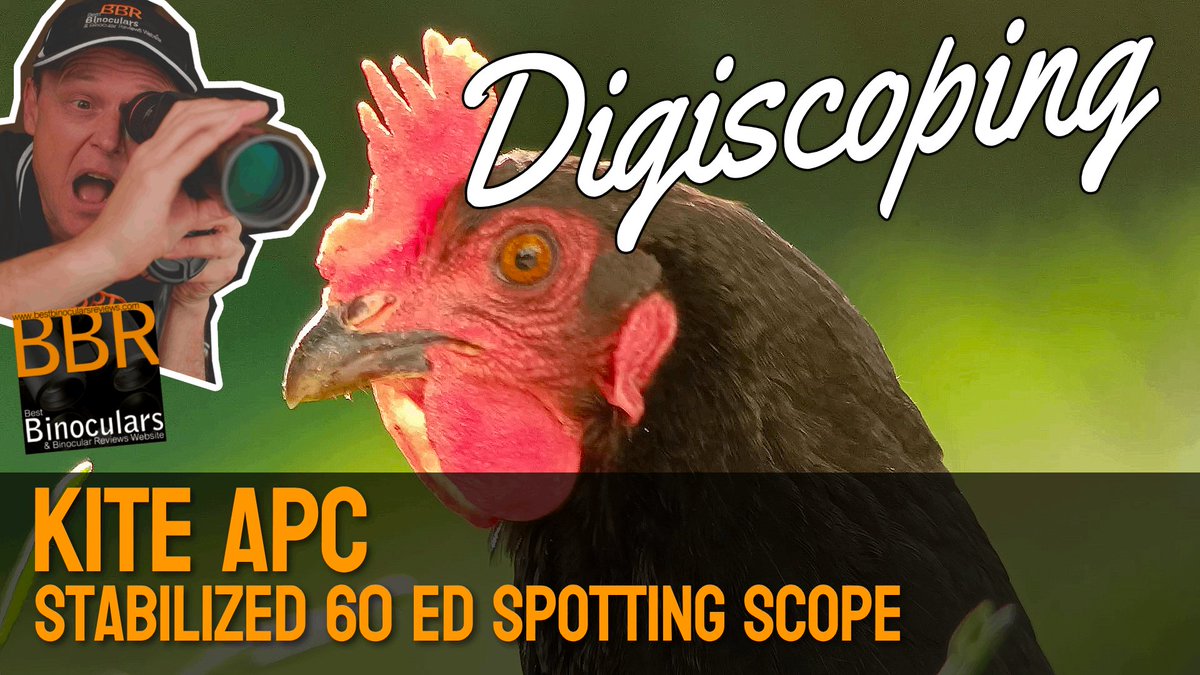 My experiences digiscoping with the Kite APC 60 ED Image Stabilized Spotting Scope &amp; the Magview Digiscoping adapter whilst testing them for review: youtu.be/e_X5e8zmxVc

<a href="/KiteOptics/">Kite Optics Nature</a>  <a href="/MagViewGear/">MagView Gear</a>  #digiscoping #magview #kiteoptics #imagestabilization
