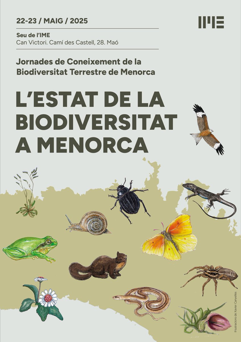 Dijous i divendres qui ve, dies 22 i 23, l'ESTAT DE LA BIODIVERSITAT A MENORCA, dos dies per conèixer millor la biodiversitat terrestre de l'illa i poder elaborar un primer catàleg d'aquesta. Assistència lliure. 
Programa: obsam.cat/jornades-de-co…
<a href="/ImeObsam/">IME OBSAM</a> <a href="/ConsellMenorca/">Consell de Menorca</a>