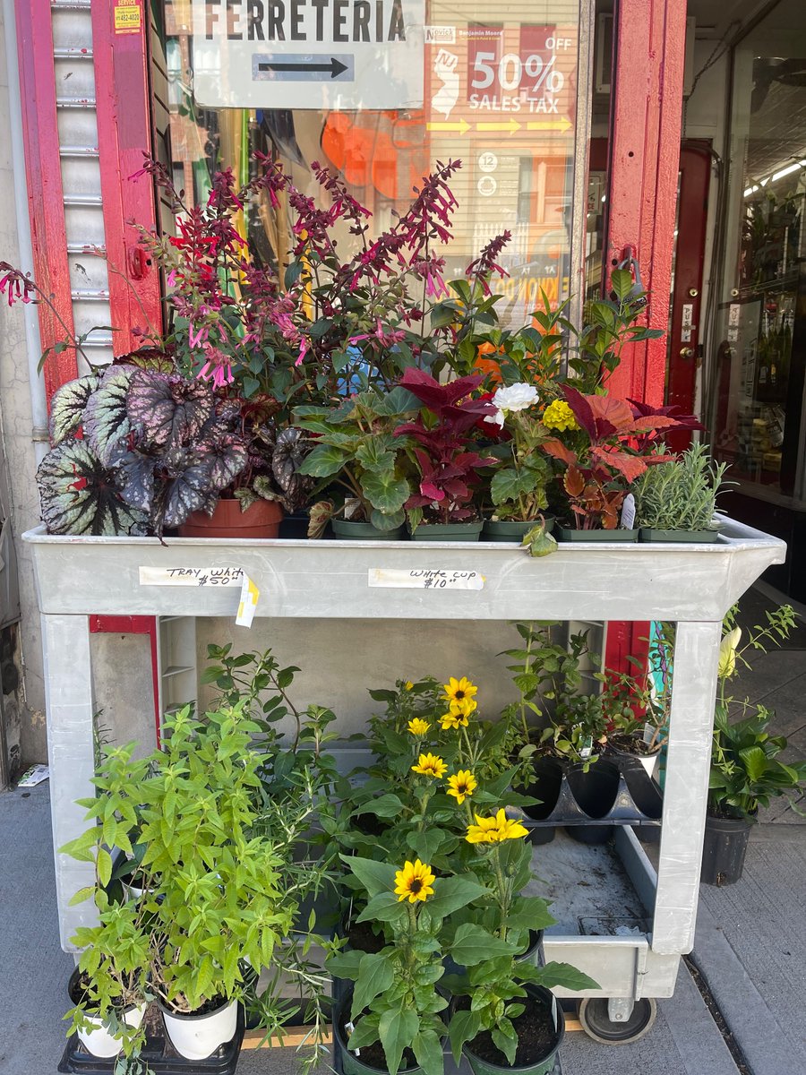 🌿✨ Get your garden summer-ready with Novick Hardware! This Memorial Day, enjoy amazing deals on all garden materials and plants — from soil and mulch to flower pots, fertilizers, and greenery galore! 🌼🪴

📍Novick Hardware
302 Central Avenue, Jersey City, NJ