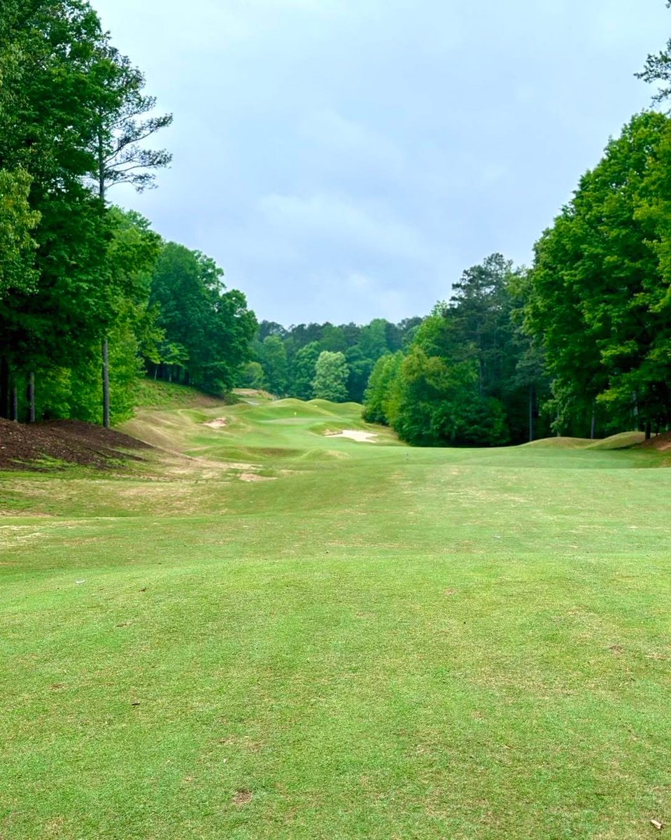 HJGT's tweet photo. 🌳⛳️ Nature showing off at last week’s #HJGT stop!

📍Cobblestone Golf Course, [Acworth, Georgia]
🏌️‍♂️ Let’s tee it up in paradise.

#HurricaneGolf #JuniorGolf #GolfViews #PlayHJGT #NextGenGolf https://t.co/T6ghcOHtZw