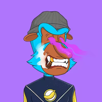 ApeWaveStudios's tweet photo. GM @captainsnif 😎 https://t.co/H4MFBORss1