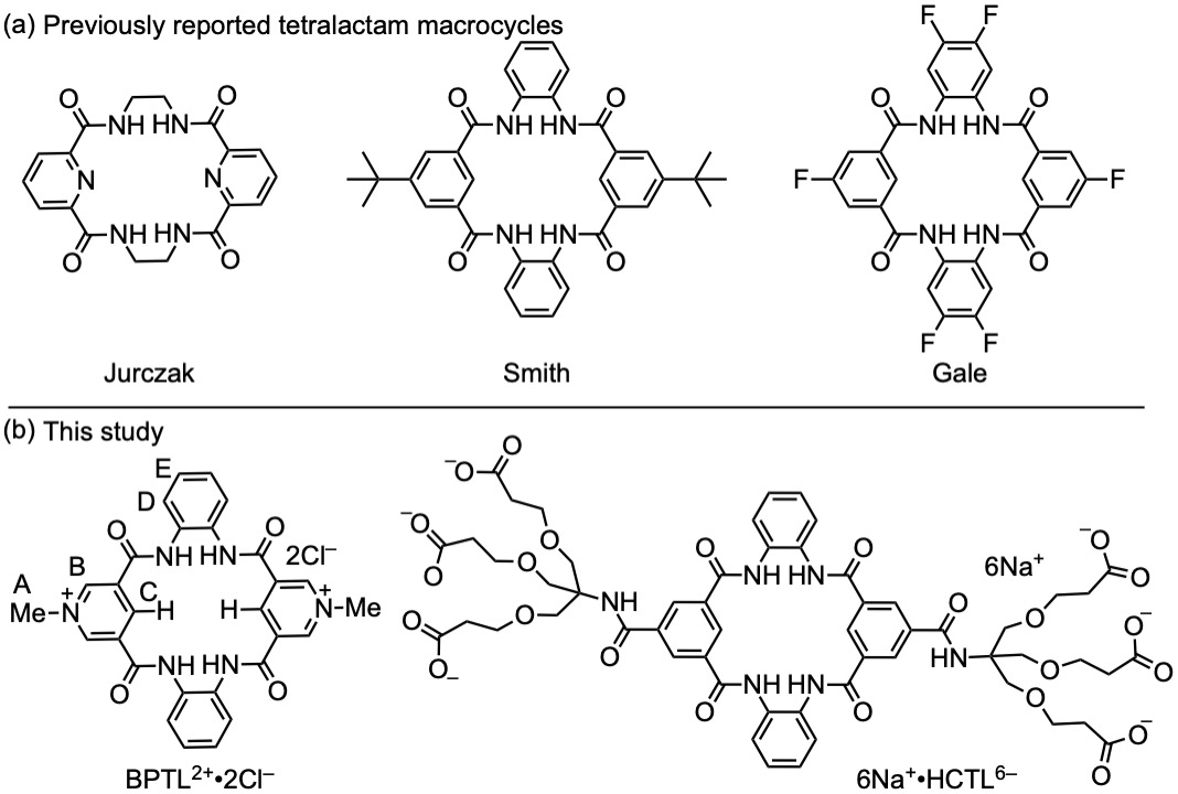 vincentchem's tweet photo. Check out our latest work by @alexchem1995
@ChemEurJ on a tetralactam macrocycle that binds hydrophilic sulfate in water. Structural and thermodynamic studies reveal the critical roles of H-bonding, electrostatics, and water release in effective binding. https://t.co/nY62yEJlcp https://t.co/CMmrTfbAOj