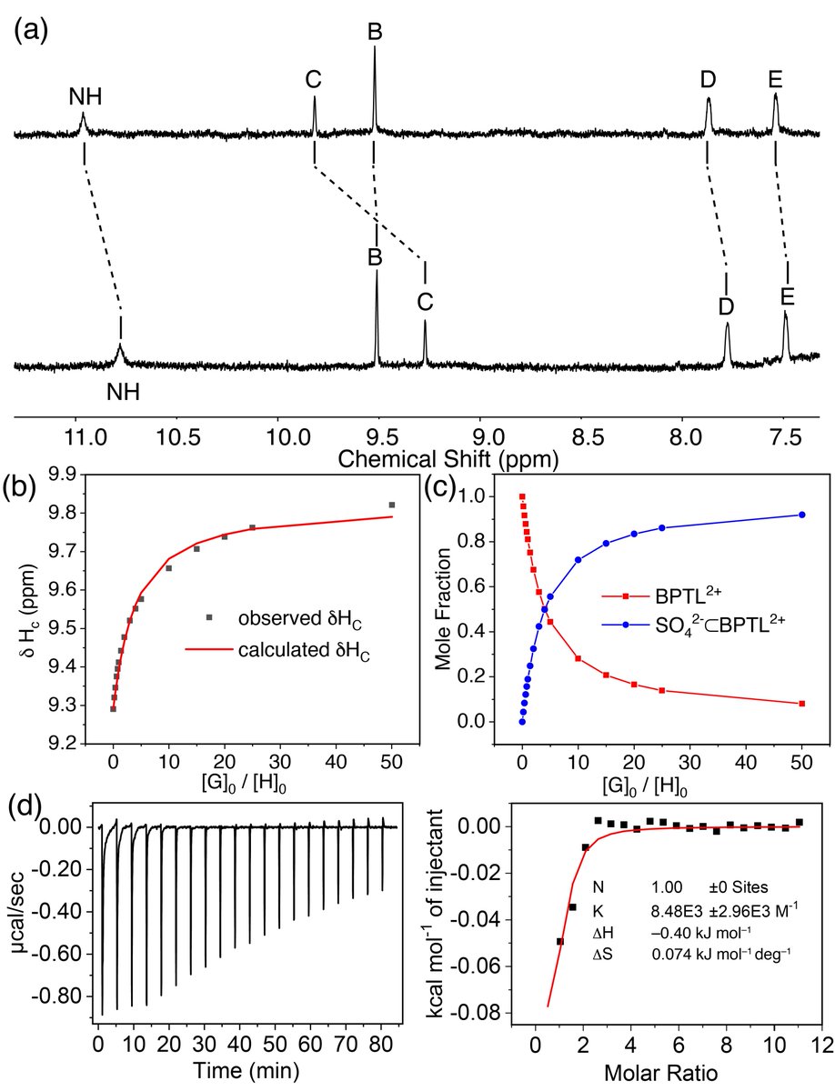 vincentchem's tweet photo. Check out our latest work by @alexchem1995
@ChemEurJ on a tetralactam macrocycle that binds hydrophilic sulfate in water. Structural and thermodynamic studies reveal the critical roles of H-bonding, electrostatics, and water release in effective binding. https://t.co/nY62yEJlcp https://t.co/CMmrTfbAOj