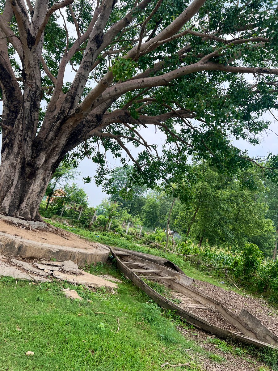 पुरानो डुंगा,
याद मधुरो भो,
साथी संगत अनि गोरेटो पनि 
समय संगै हराए सबै 
बिर्से झैं गरि अघि बढे सबै,
फर्किने त तेइ याद त रहेछ !!