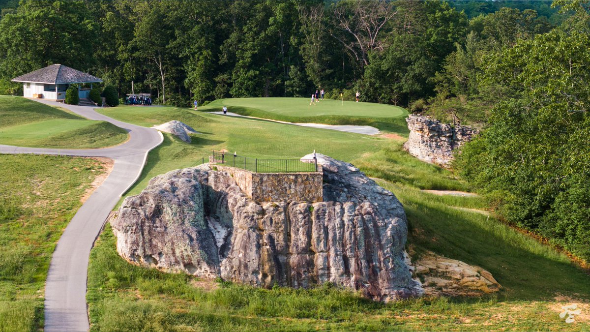 Fried Egg Golf tweet media