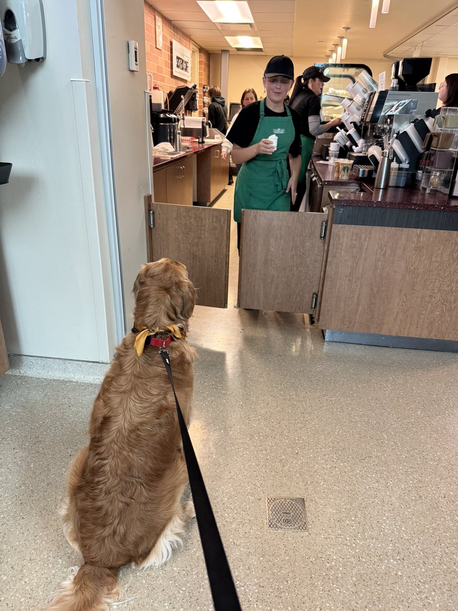 Heather Schilling (@schilling28) on Twitter photo It's bring your dog to campus day! Come visit Yellow, a 3-year-old golden retriever, in ACEN 333. 💛 #goldenretriever #YellowJoy #makeroomforjoy <a href="/ManchesterUniv/">Manchester University</a> <a href="/MUSpartans/">Manchester University Athletics</a> It's bring your dog to campus day! Come visit Yellow, a 3-year-old golden retriever, in ACEN 333. 💛 #goldenretriever #YellowJoy #makeroomforjoy <a href="/ManchesterUniv/">Manchester University</a> <a href="/MUSpartans/">Manchester University Athletics</a>