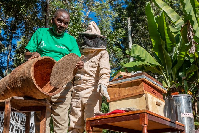 🐝In Kenya's Kitui County, #bees are changing lives! 

Thanks to new techniques and knowledge acquired through an FAO Farmer Field School, beekeepers have expanded their production of quality honey.

Read their story: fao.org/newsroom/story…

#WorldBeeDay