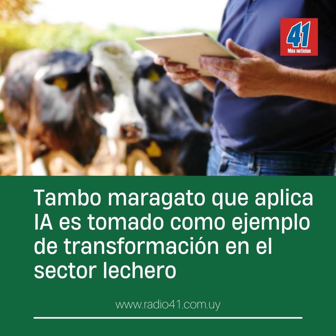 Radio 41 (@radio41sj) on Twitter photo El establecimiento de la familia Berti, en la zona de Capurro, aplica diversas herramientas de Inteligencia Artificial (IA) para mejorar su productividad. La iniciativa fue expuesta en la reciente <a href="/mercolacteauy/">Mercolacteauy</a>. 👇👇👇
radio41.com.uy/index.php/colu… El establecimiento de la familia Berti, en la zona de Capurro, aplica diversas herramientas de Inteligencia Artificial (IA) para mejorar su productividad. La iniciativa fue expuesta en la reciente <a href="/mercolacteauy/">Mercolacteauy</a>. 👇👇👇
radio41.com.uy/index.php/colu…