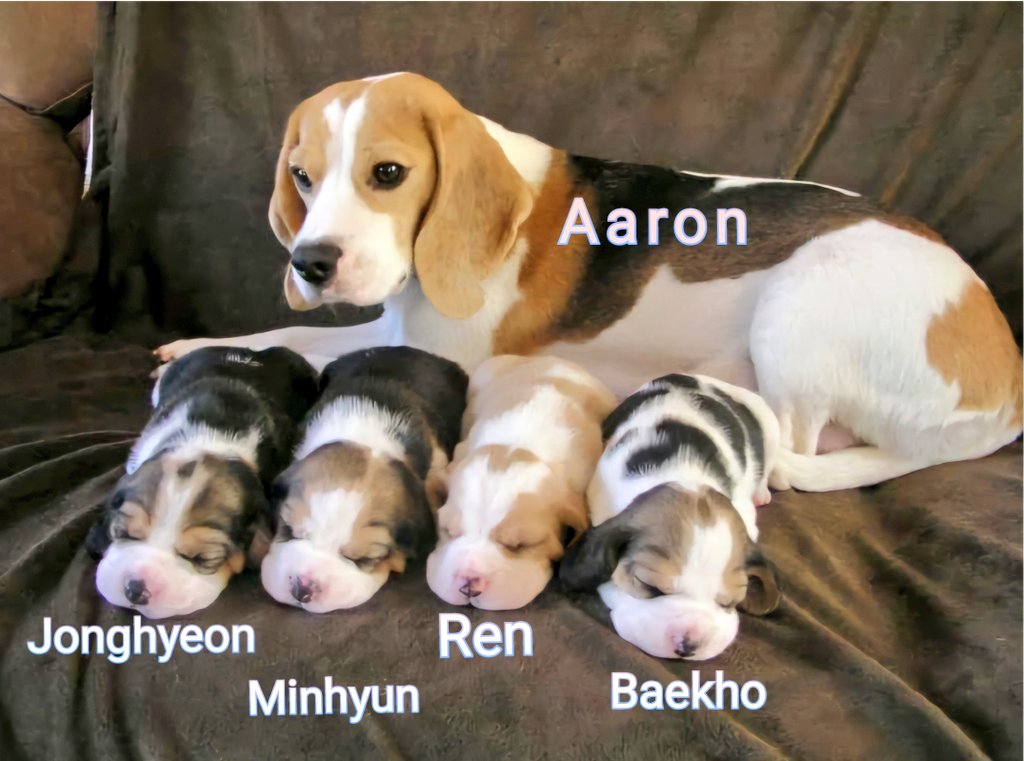 #AARON_32ndSpring
#아론과_함께한_32번째_봄
Happy birthday Nuest's pillar 🙌