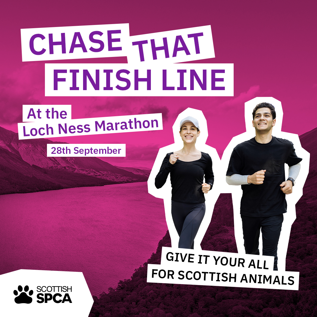 nessmarathon's tweet image. Only 1 place left! 

Run a marathon alongside the legendary Loch Ness &amp;amp; help raise funds for Scotland’s animals with @ScottishSPCA 

Get a free Scottish SPCA running top &amp;amp; support from their dedicated Fundraising team!

Sound like the challenge for you? bit.ly/42FU2La