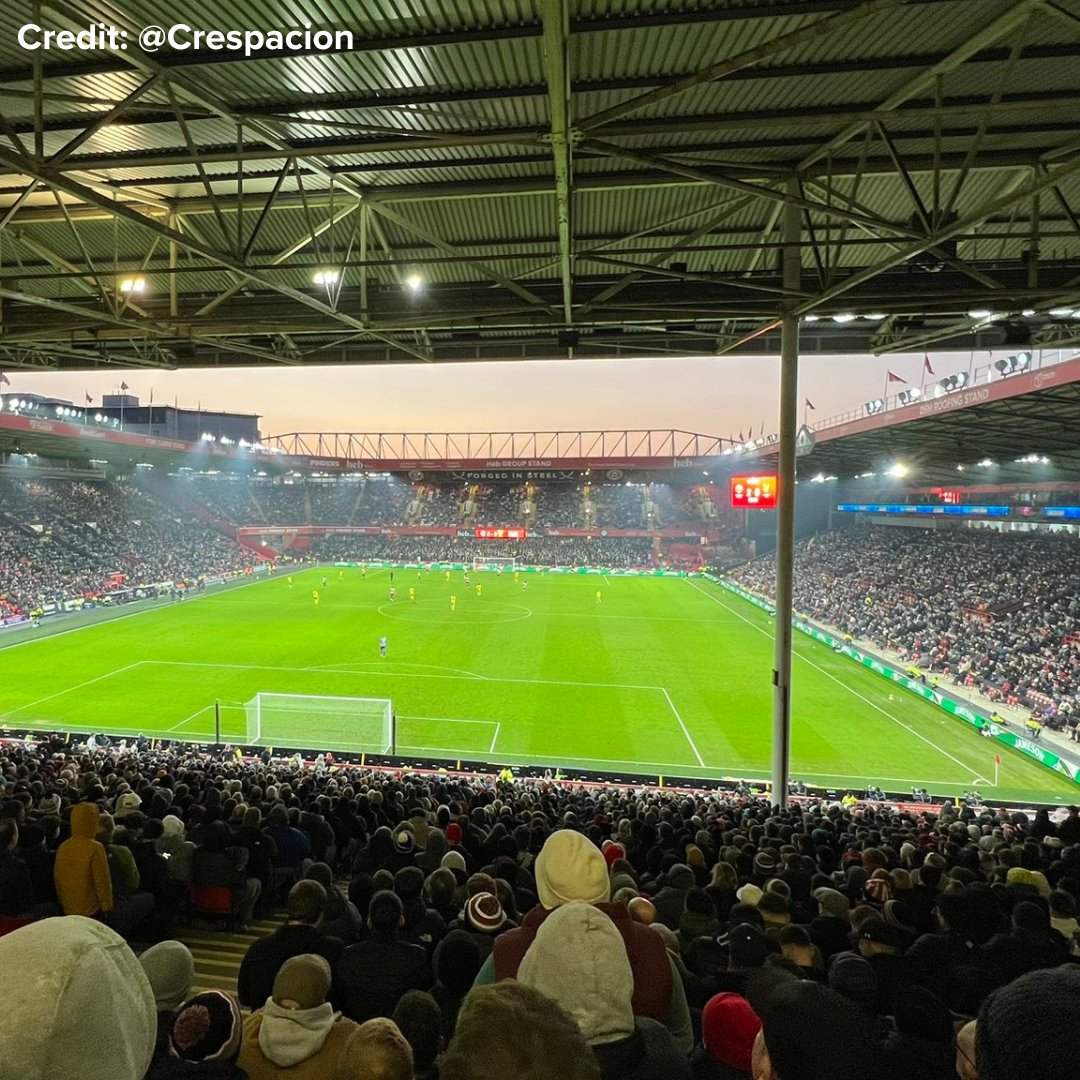 FanHub tweet media