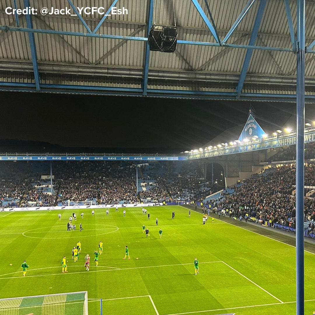 FanHub tweet media