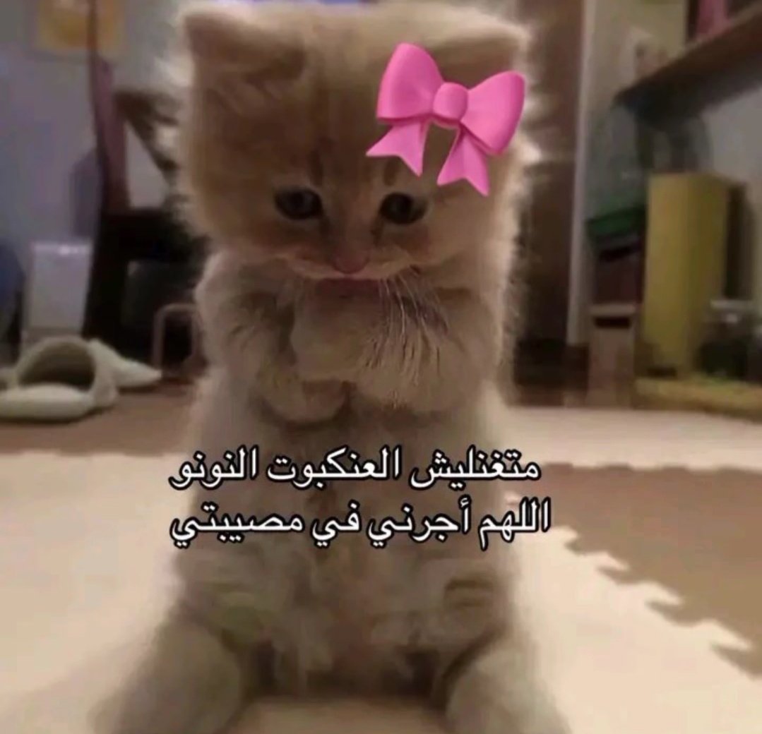 AmiiraAyman's tweet photo. https://t.co/7mTElmMbIZ