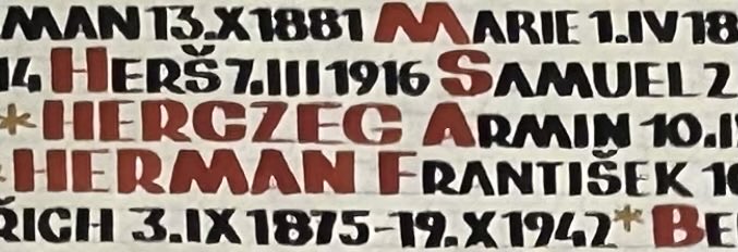 PeterHerman4's tweet image. The Pinkas synagogue lists all the victims
Of the Holocaust from Prague. Including this man and his family. Who knows if we were related?