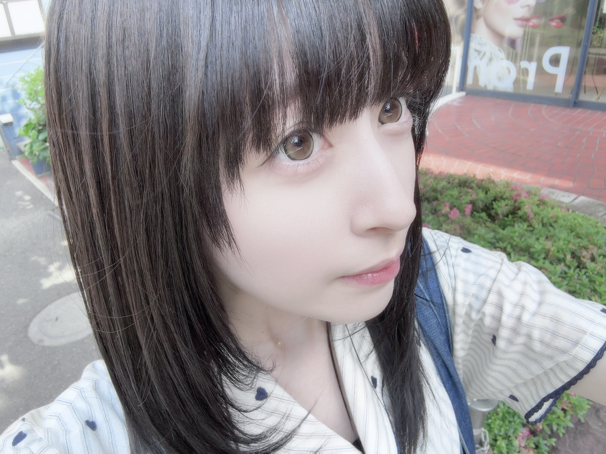 Search 