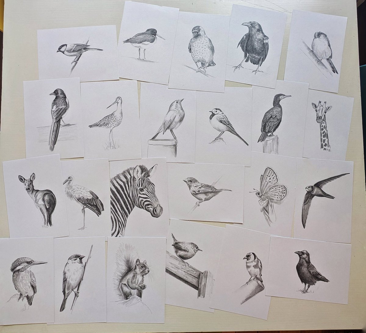 Ik heb de afgelopen week heel erg hard getekend. Nog twee en dan zijn ze allemaal af.

Ik noem dit stilleven: ik kan geen nee zeggen 🫣🤣