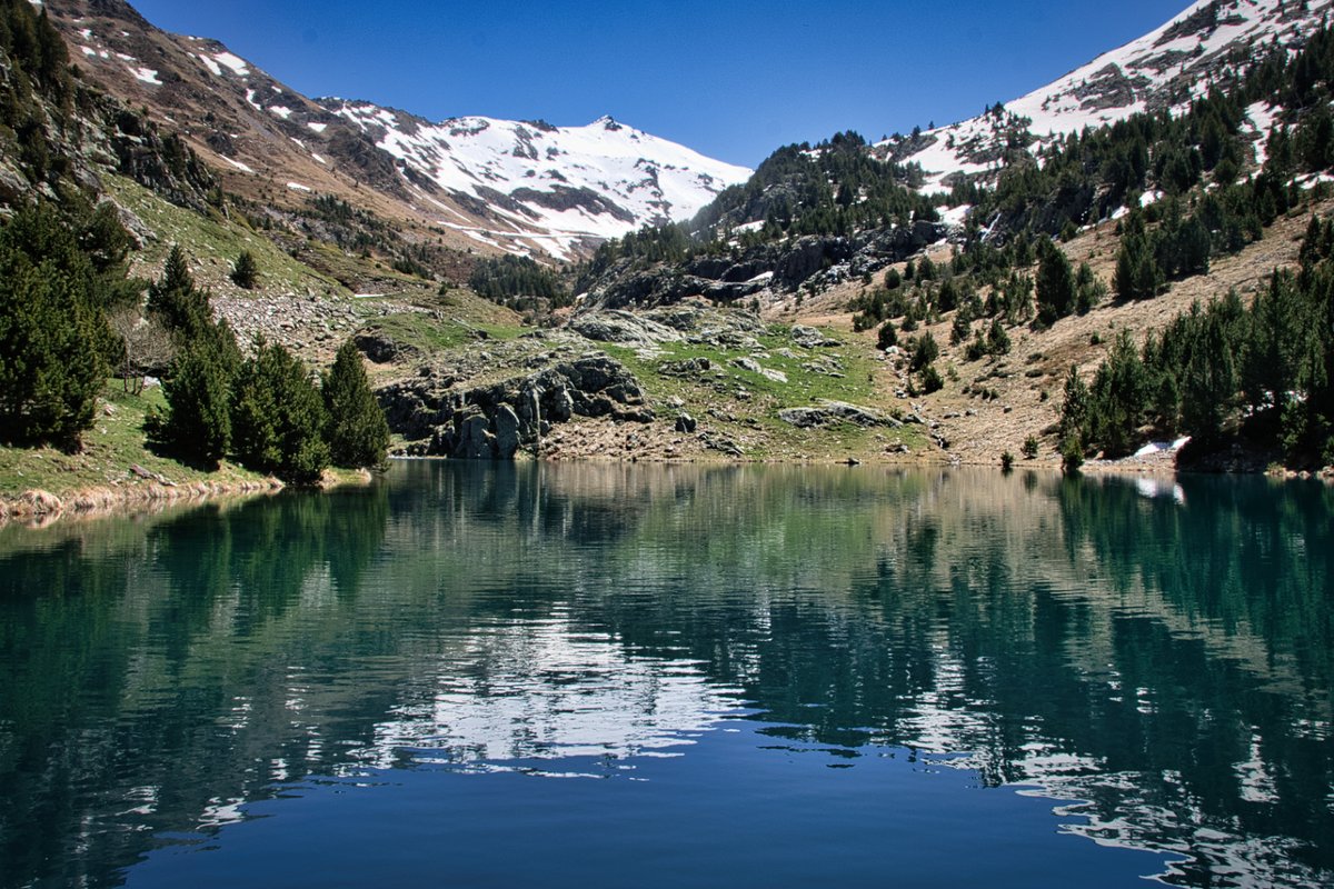 vhaakman's tweet photo. Embalse de Urdiceto, Spaanse Pyreneeën.🌲💚
Vakantie plannen? Check: https://t.co/zsVJwaAa9t
Delen mag en wordt gewaardeerd! ❤️
#Pyrenees #Adventure #Nature #Outdoor #BeautifulDestinations #Mountains #BucketList #Wanderlust #AmazingViews #PyreneesMountains https://t.co/cpjVJwg9HP