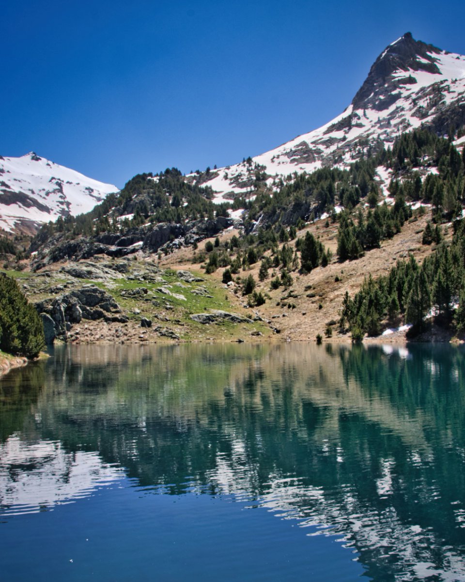 vhaakman's tweet photo. Embalse de Urdiceto, Spaanse Pyreneeën.🌲💚
Vakantie plannen? Check: https://t.co/zsVJwaAa9t
Delen mag en wordt gewaardeerd! ❤️
#Pyrenees #Adventure #Nature #Outdoor #BeautifulDestinations #Mountains #BucketList #Wanderlust #AmazingViews #PyreneesMountains https://t.co/cpjVJwg9HP