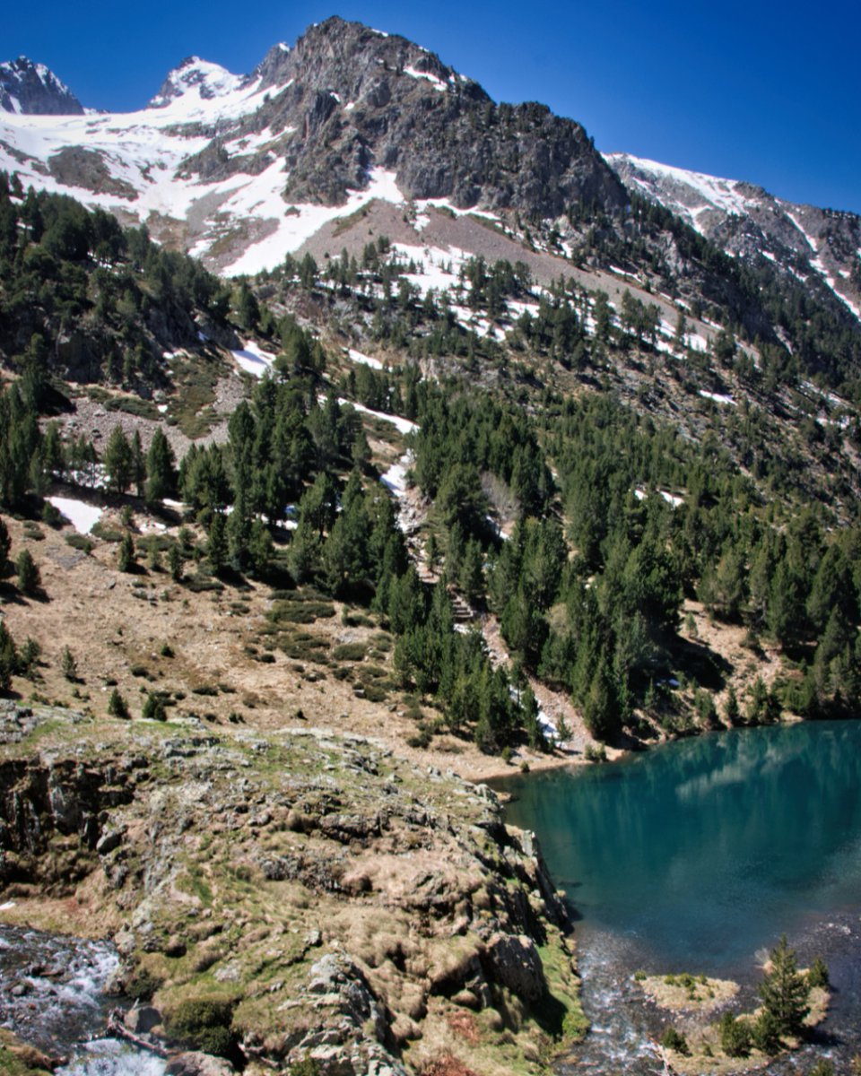 vhaakman's tweet photo. Embalse de Urdiceto, Spaanse Pyreneeën.🌲💚
Vakantie plannen? Check: https://t.co/zsVJwaAa9t
Delen mag en wordt gewaardeerd! ❤️
#Pyrenees #Adventure #Nature #Outdoor #BeautifulDestinations #Mountains #BucketList #Wanderlust #AmazingViews #PyreneesMountains https://t.co/cpjVJwg9HP