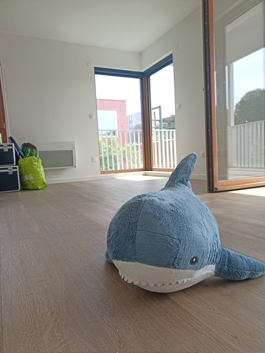 Shinrufurdrag's tweet image. Blähaj judging our new place! 
Think he likes it