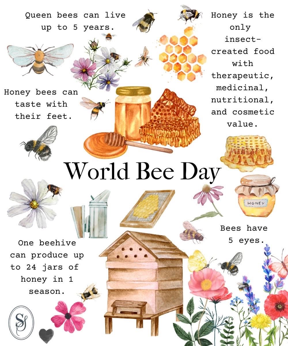 jill_runty's tweet photo. Happy World Bee Day!
🐝🍯🐝🍯🐝🍯🐝🍯
#worldbeeday
#slowsimpleseasonal https://t.co/nhpKMq2Cop