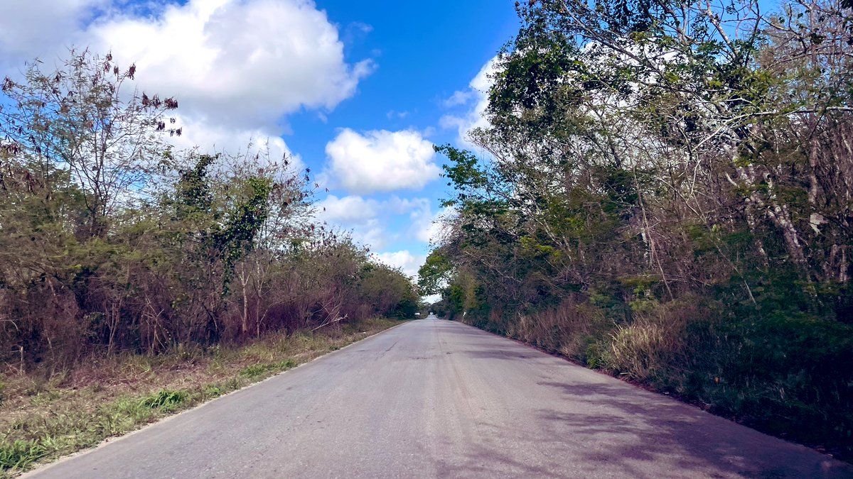 A veces la vida te lleva por caminos que no entiendes… hasta que un día miras atrás y todo tiene sentido. Dolió, sí. Pero también te hizo crecer.
