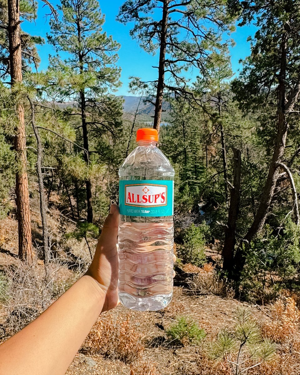 Your adventure buddy liked the view