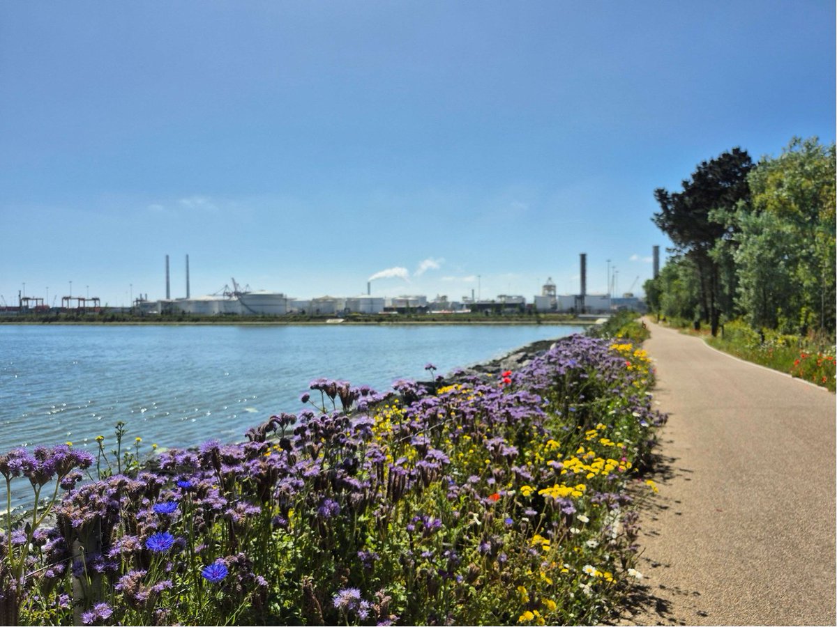 Dublin Port (@dublinportco) on Twitter photo The Dublin Port Greenway is buzzing with life!
Eamon McElroy, Port Engineer, joined <a href="/NatureRTE/">Mooney Goes Wild</a>’s Mooney Goes Wild to chat about this thriving stretch of urban nature.
Tune in at 33:48 to hear more.
rte.ie/radio/radio1/m… The Dublin Port Greenway is buzzing with life!
Eamon McElroy, Port Engineer, joined <a href="/NatureRTE/">Mooney Goes Wild</a>’s Mooney Goes Wild to chat about this thriving stretch of urban nature.
Tune in at 33:48 to hear more.
rte.ie/radio/radio1/m…