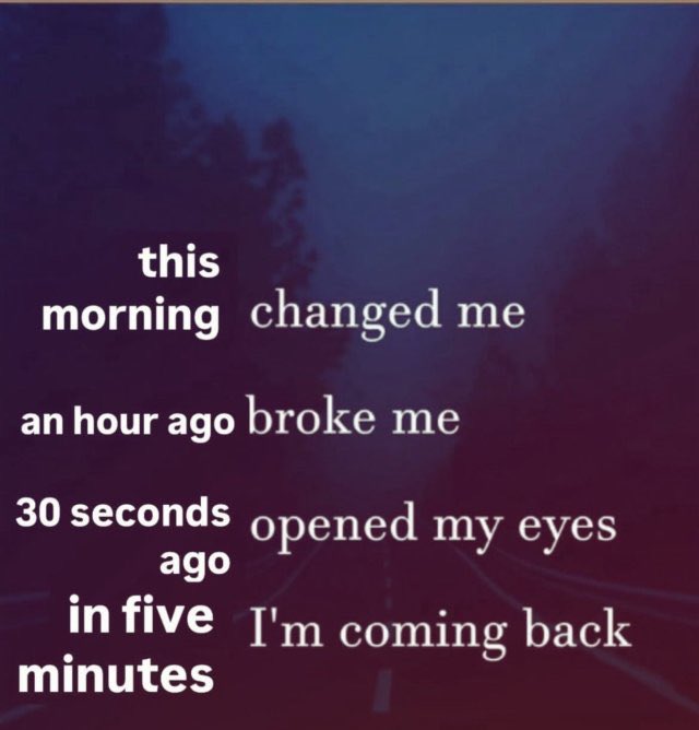 equine__dentist's tweet image. 